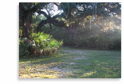 Retreat in a private cabin with Ayurveda and meditation on 25 acres of pristine Florida nature.