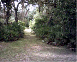 Gentle walkways throughout the 25 acre nature retreat support the inner healing of the Ayurvedic treatments.