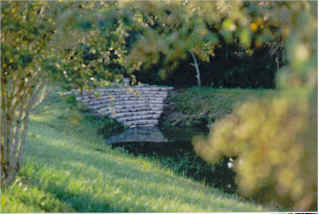 This pond is beside the solitary cabin. It offers a quiet place for meditation.