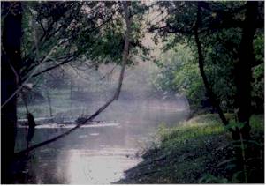 Private cabin overlooks Horse Creek, a mystical place for yoga and meditation.