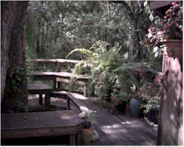 Private deck at the cabin is large enough for yoga and meditation