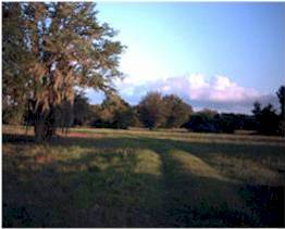 Open fields invite views of expansive skies over the nature retreat.  Enjoy the soft colors of sunset and brilliantly starry nights.