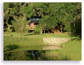 The Tree House retreat cabin is ideal for a meditation retreat. Sleeps 2 or more people; supplied with full kitchen.